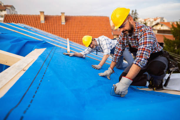 Best Roof Insulation Installation  in Anderson Creek, NC